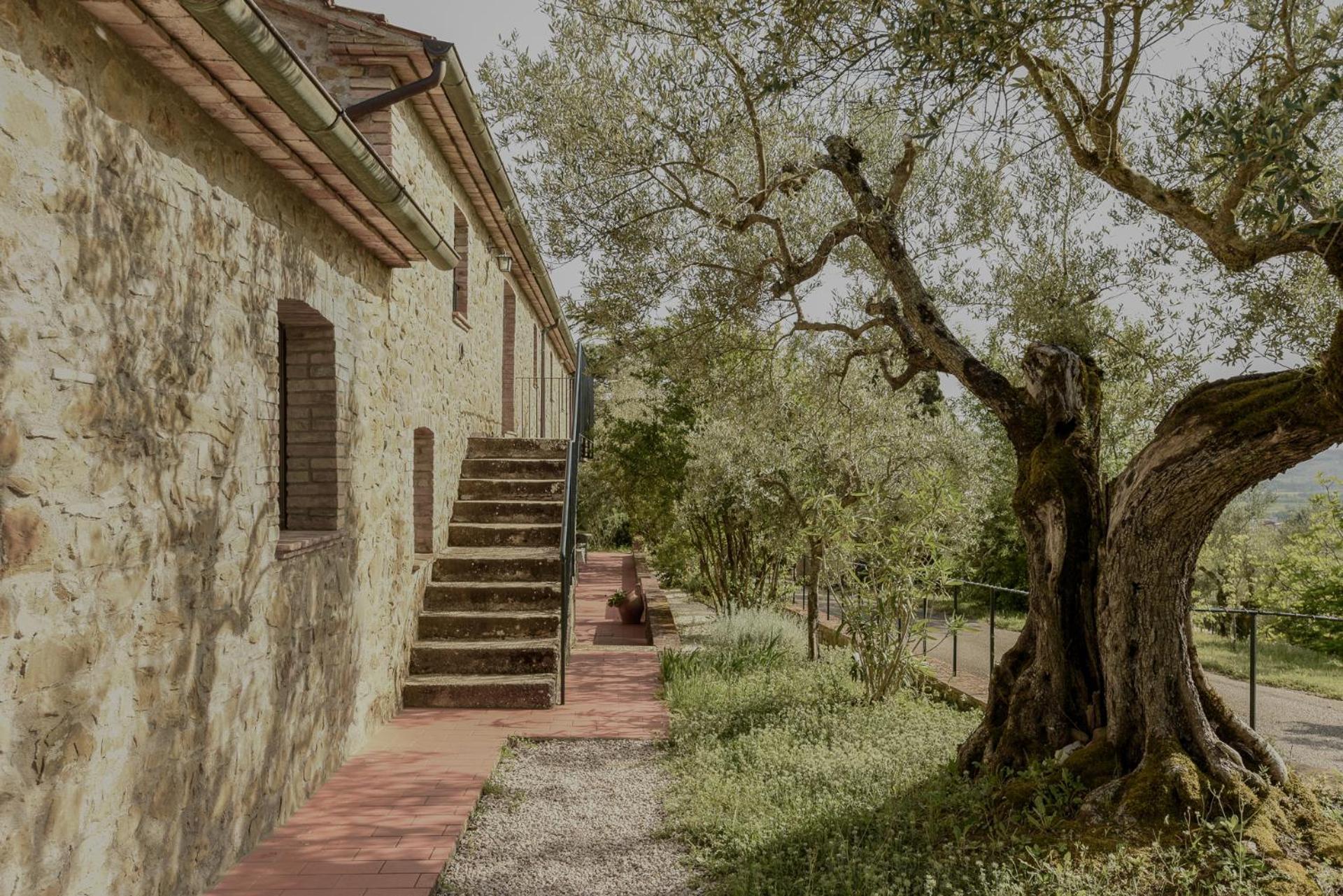 Agriturismo Il Mulino Delle Canutole مادجوني المظهر الخارجي الصورة