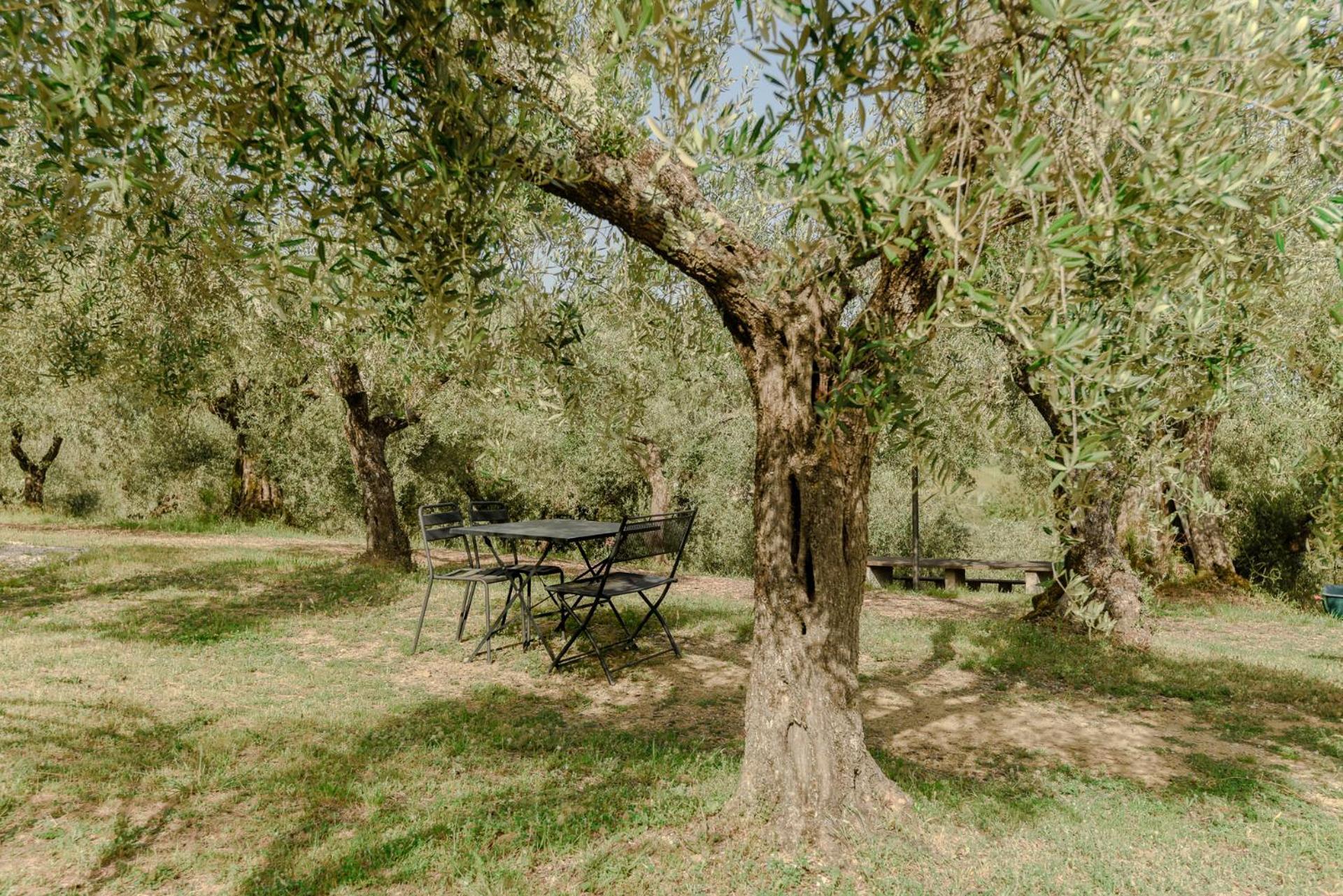 Agriturismo Il Mulino Delle Canutole مادجوني المظهر الخارجي الصورة